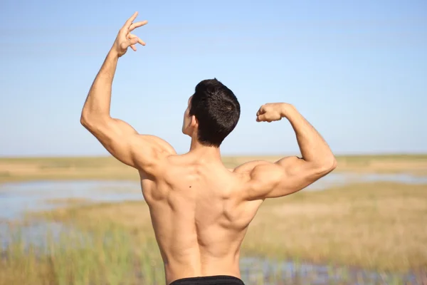 Male bodybuilder model back view.