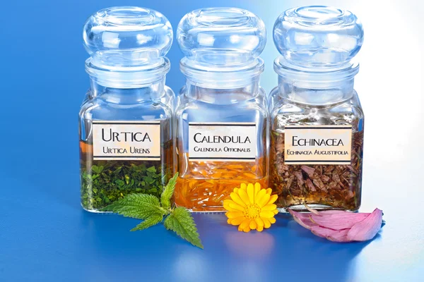 Various plant extract in bottles and homeopathic medication