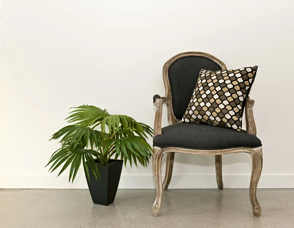Antique armchair and plant near wall