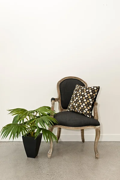 Antique armchair and plant near wall