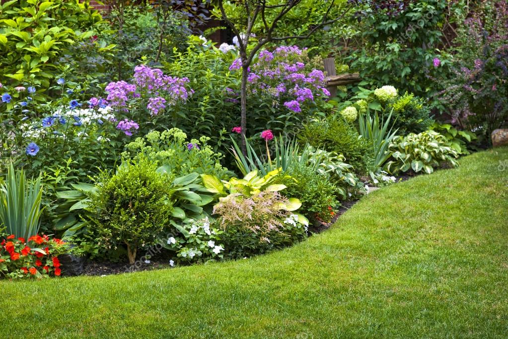 Inspiring Garden Comely Best Plants For Shade Canberra Flowers 1920x1200