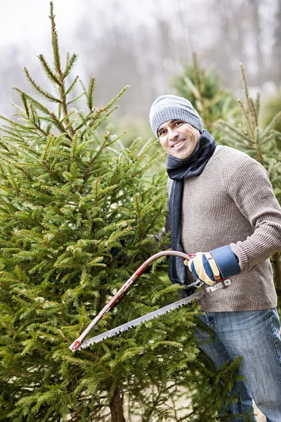 Man cutting Christmas tree
