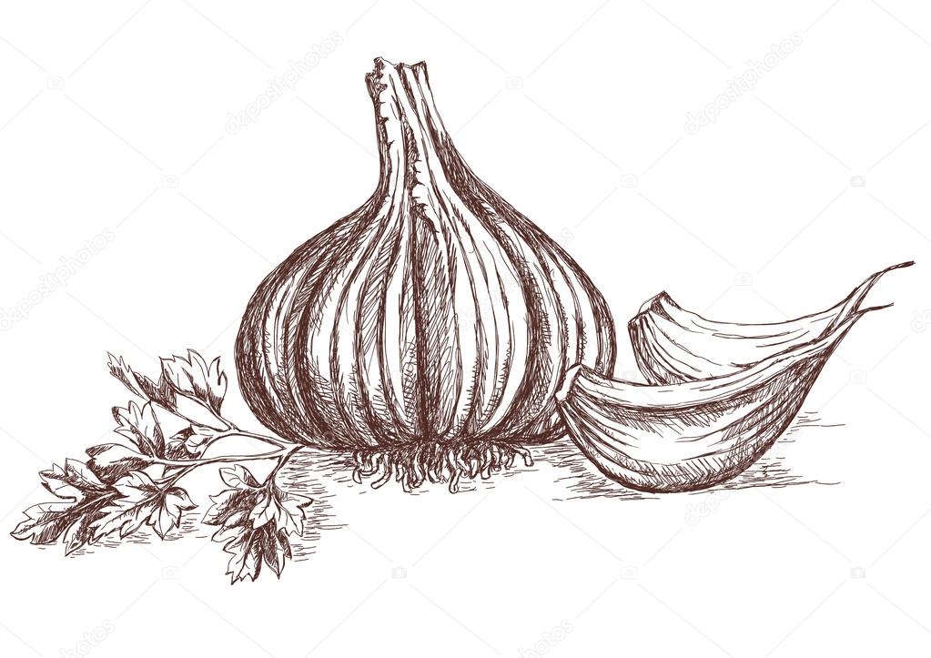2019 year - How to Braid Garlic 2019 year