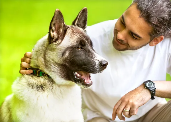 Man and Akita Inu dog walk in the park.