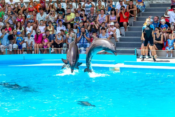 ODESSA, UKRAINE - JUNE 10, 2013: Dolphins on creative entertaini