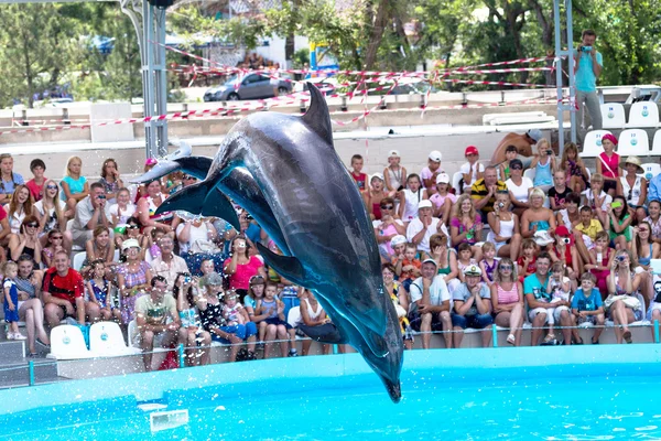 ODESSA, UKRAINE - JUNE 10, 2013: Dolphins on creative entertaini