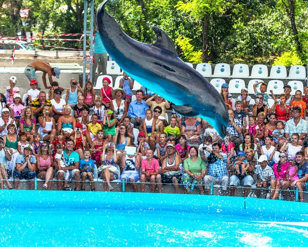 ODESSA, UKRAINE - JUNE 10, 2013: Dolphins on creative entertaini