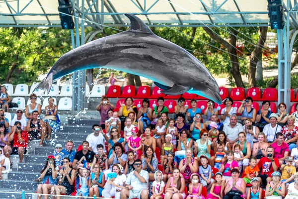ODESSA, UKRAINE - JUNE 10, 2013: Dolphins on creative entertaini