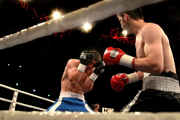 Odessa, Ukraine - May 31, 2014: In the boxing ring Umar Salamjv