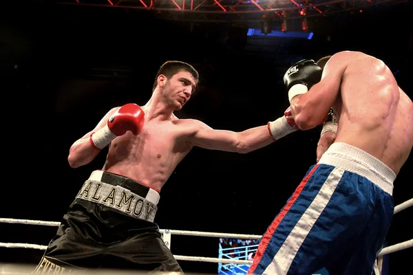 Odessa, Ukraine - May 31, 2014: In the boxing ring Umar Salamjv