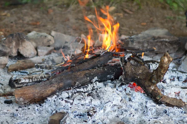 A camp fire in a fire pit at a campsite