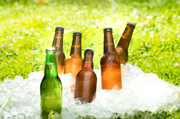 Beer in a pile of ice outside