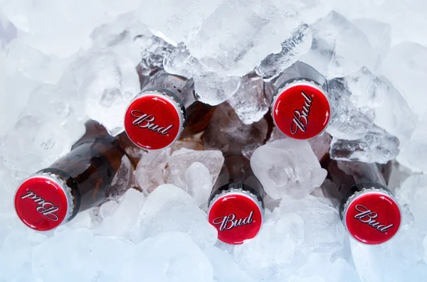 Cold beer on crushed ice cubes outside