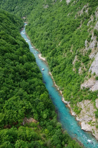 Canyon of Tara river