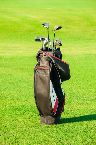 Golf club. Bag with golf clubs