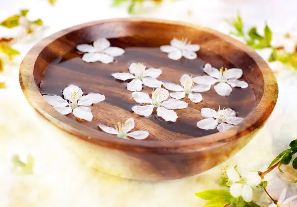 White flowers in bowl