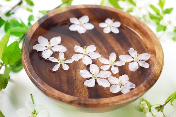 White flowers in bowl