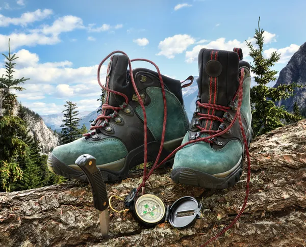 Pair of hiking boots with compass on fallen tree