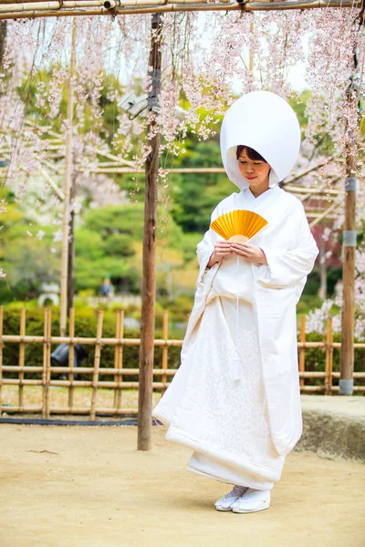 Celebration of a typical wedding in Japan