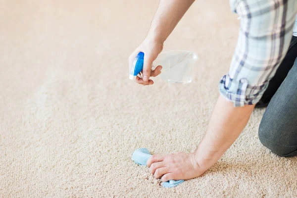 Close up of male cleaning stain on carpet