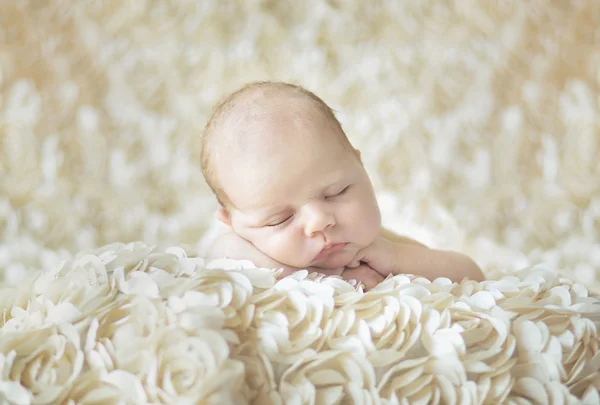 Newborn baby laying on belly