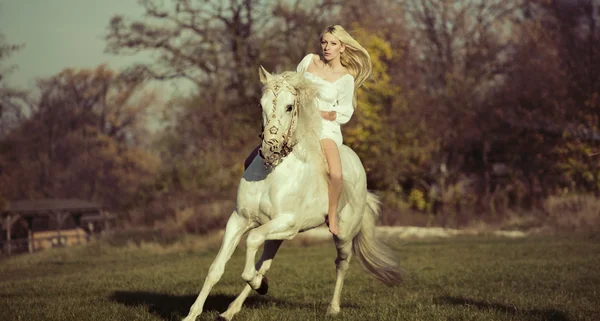 White angel riding a pure white horse
