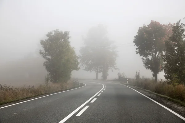 Picture presenting foggy road
