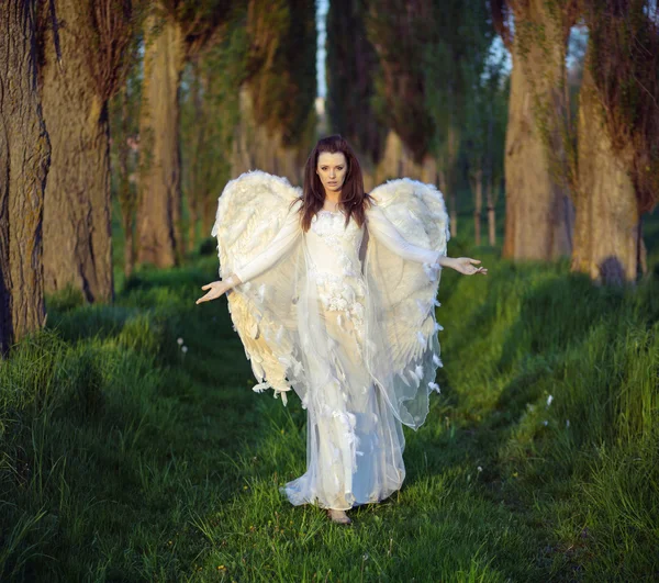 Marvelous woman-angel in the forest