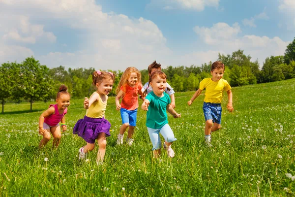 Playing kids in green field during summer