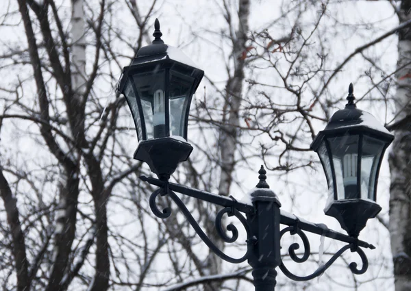 Energy-saving lamps on background of branches of trees in winter