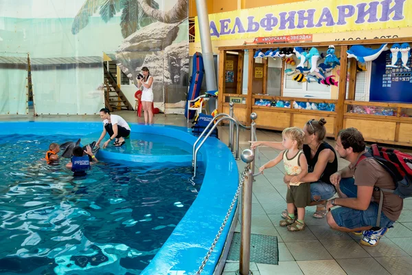 Young parents show to small son of dolphins in delphinarium