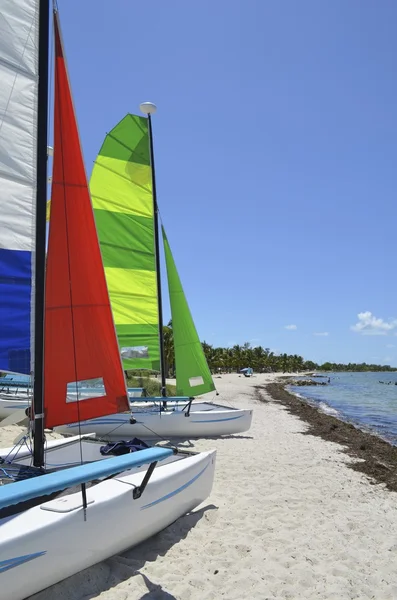 Small Sailing Catamarans