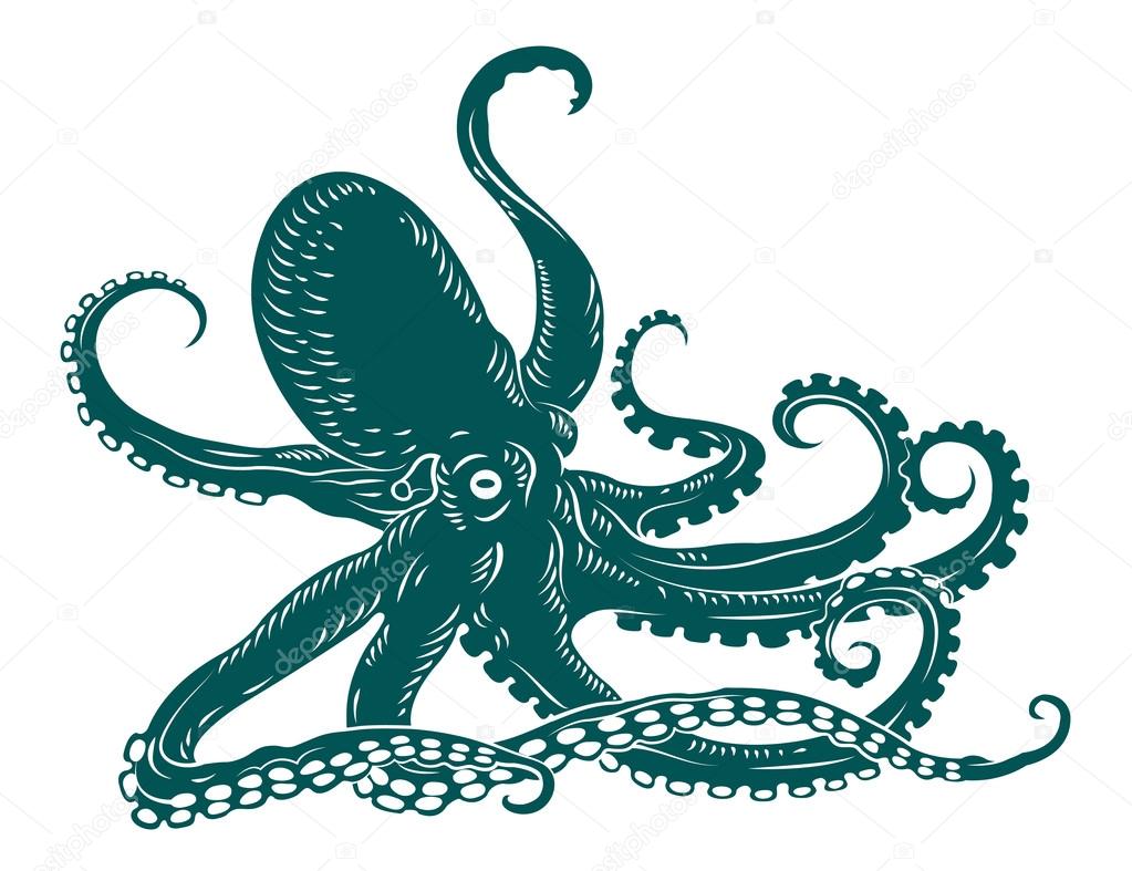 depositphotos_17392697Octopuswithtentacles.jpg (1023×
