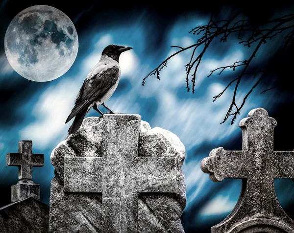 Crow sitting on a gravestone in moonlight at cemetery