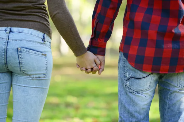 Couple holding hands and walking in park