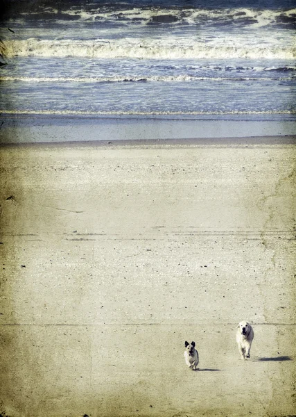 Vintage seascape of long deserted beach with golden sand
