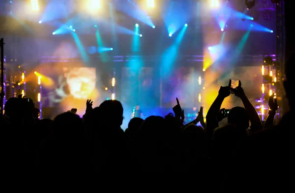 Cheering crowd at concert