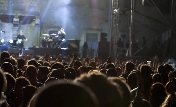 Crowd at concert