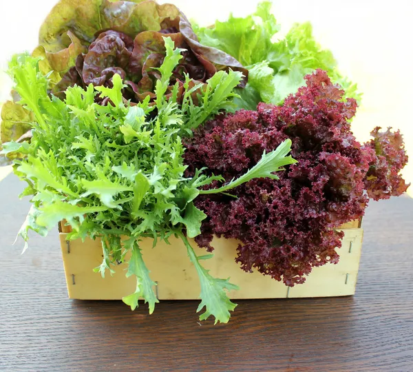 Green and red lettuce in box