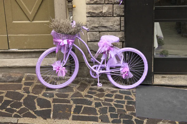 Purple bicycle with lavender. The Spring, Italy.
