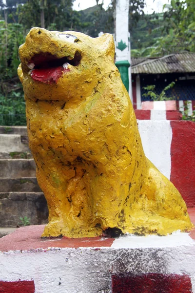Yellow lion
