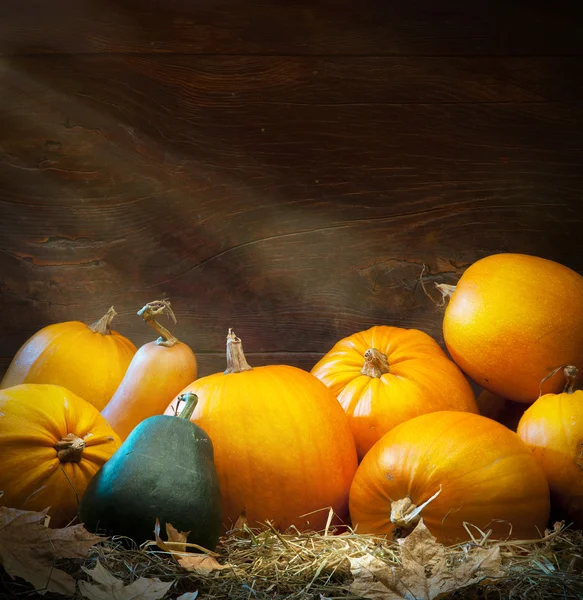 Art autumn Pumpkin thanksgiving background