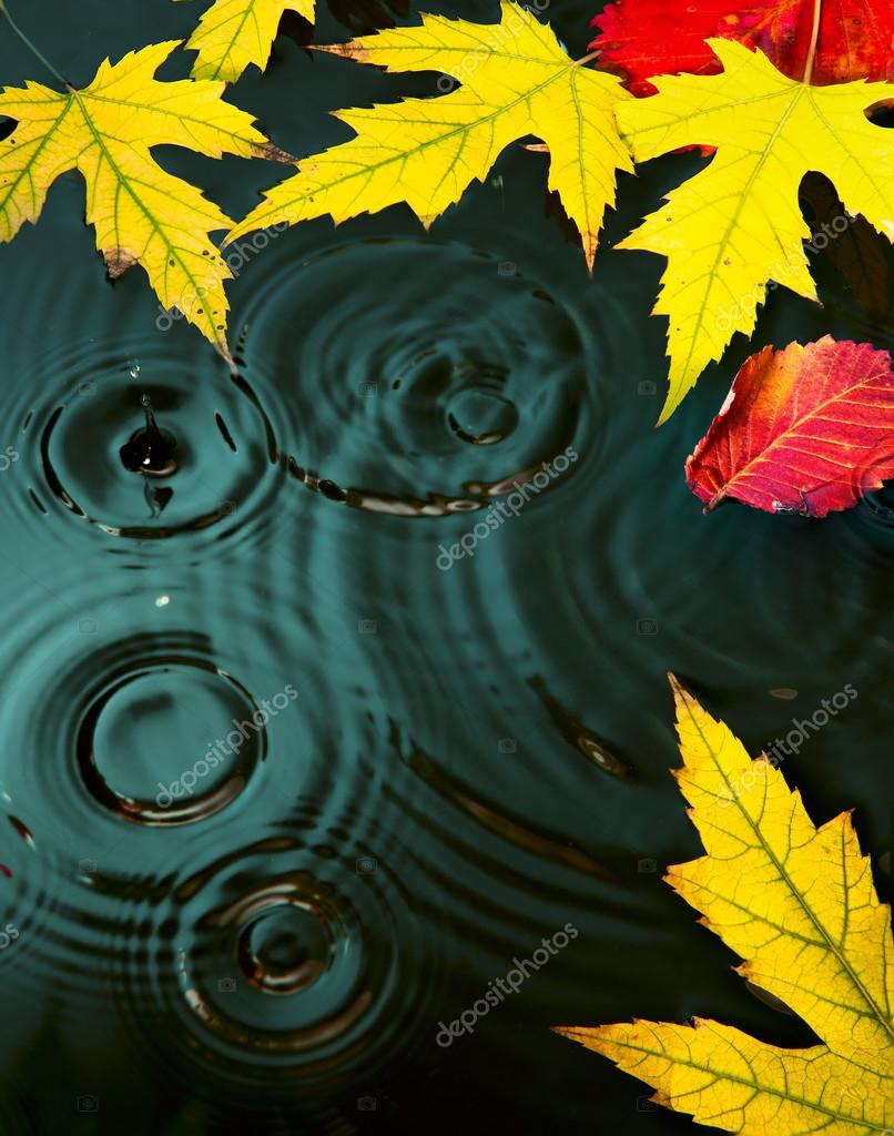depositphotos_311111