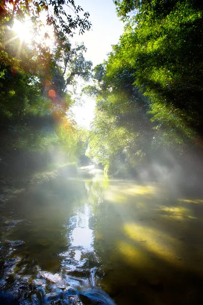 Art beautifu landscape with morning tropical River in jungle