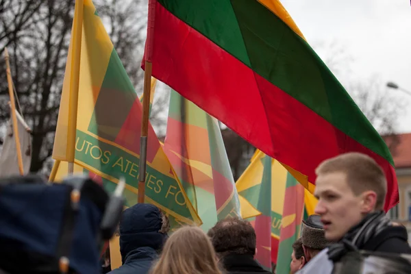 Thousand people gather in nationalist rally in Vilnius