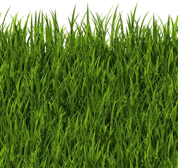 Tiling texture - Grass