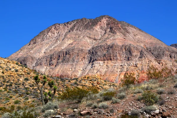 Beaver Dam Mountains Wilderness Area