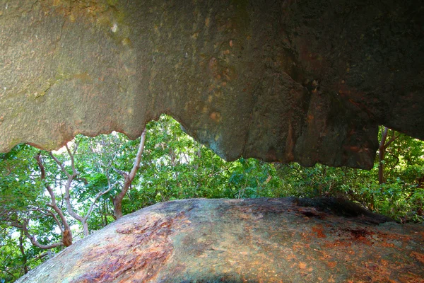 Shark Bay Caves Tortola