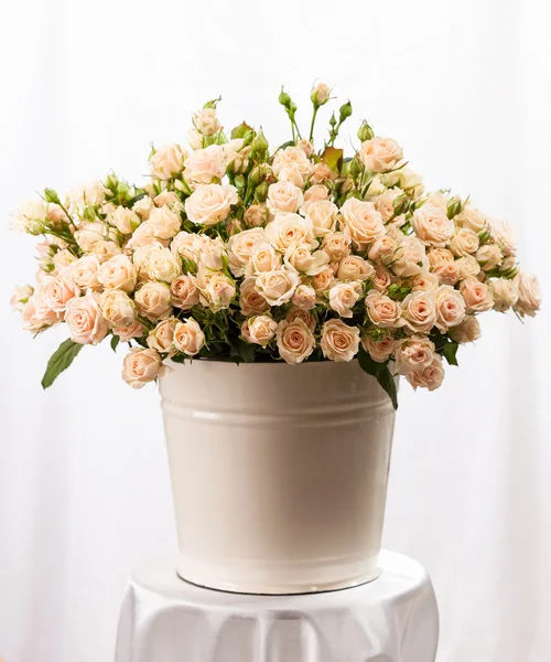 Bunch of creamy roses in a bucket