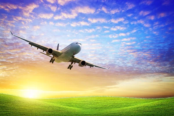 Jet aircraft over the field of green at sunset